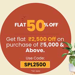 Flat 50% off — 250 × 250